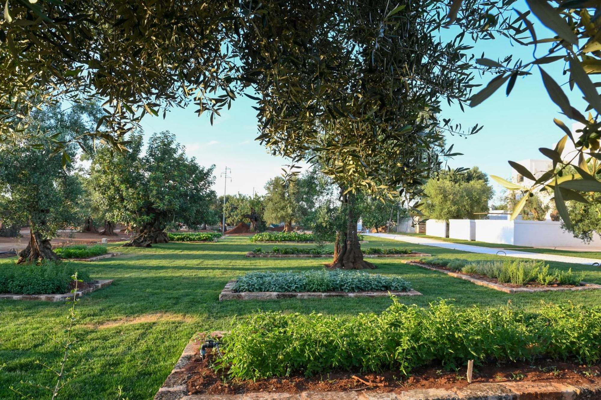 Masseria San Lorenzo Resort Фазано Экстерьер фото